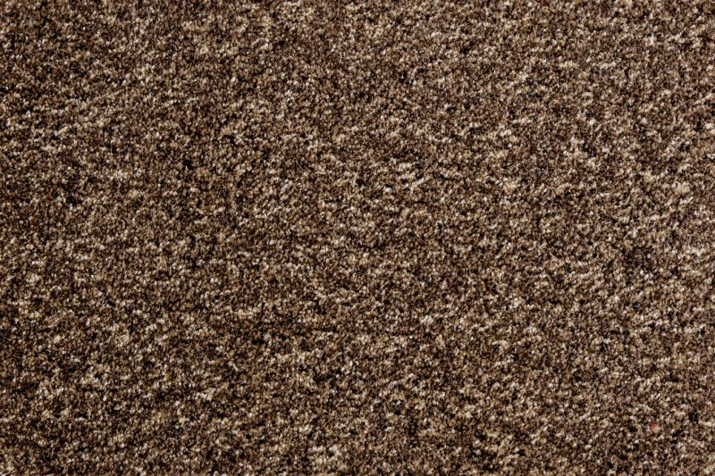 COSMOS MIX D.BEIGE